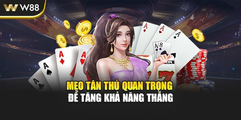 Mẹo tân thủ quan trọng để tăng khả năng thắng